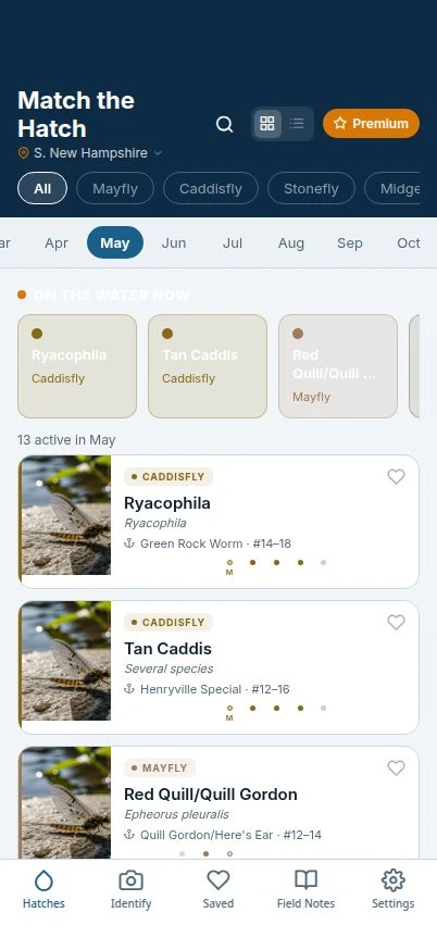 Match the Hatch development preview: Hatch Browser